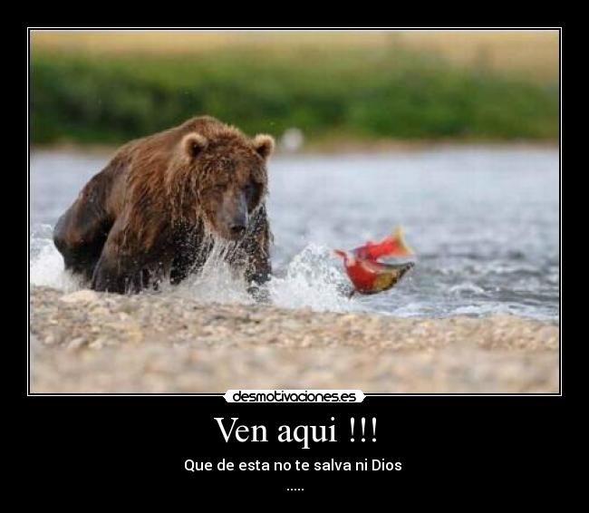 Ven aqui !!! - Que de esta no te salva ni Dios
.....