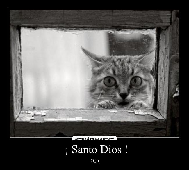 ¡ Santo Dios ! - O_o