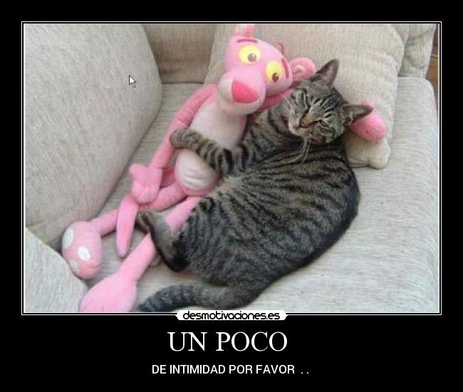 UN POCO - DE INTIMIDAD POR FAVOR . .