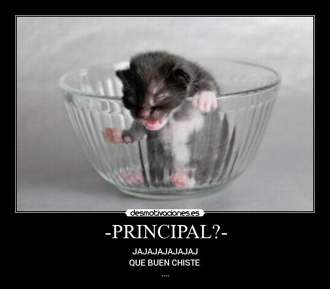 -PRINCIPAL?- - JAJAJAJAJAJAJ
QUE BUEN CHISTE
....