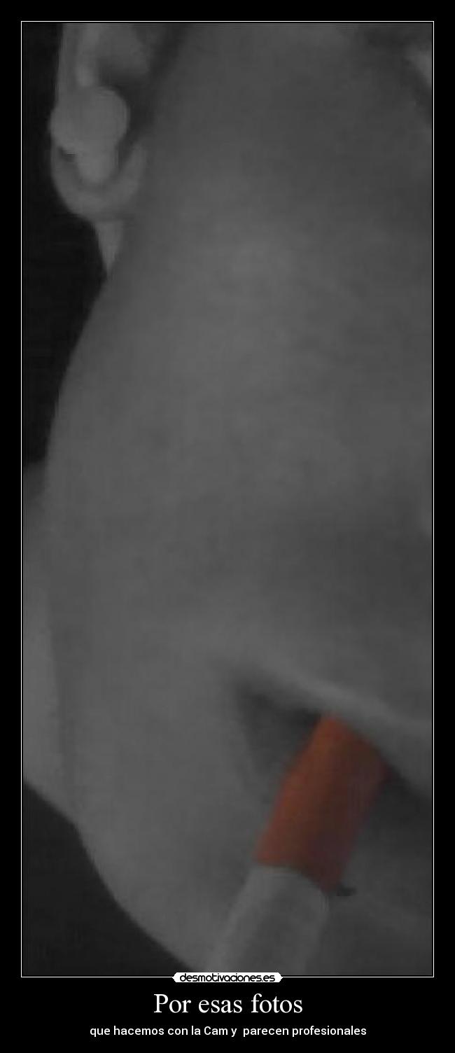 Por esas fotos - que hacemos con la Cam y  parecen profesionales