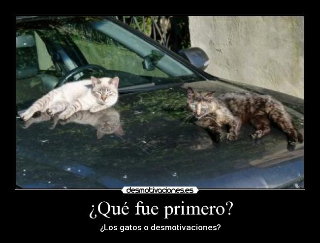 ¿Qué fue primero? - 