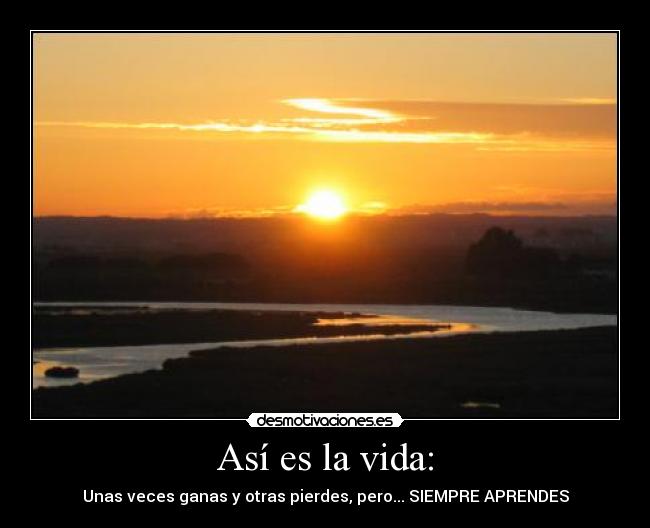 Así es la vida: - Unas veces ganas y otras pierdes, pero... SIEMPRE APRENDES