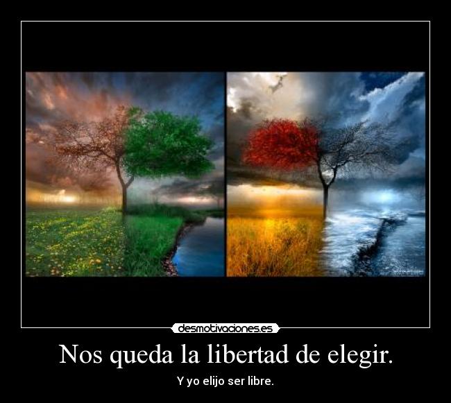 Nos queda la libertad de elegir. - Y yo elijo ser libre.