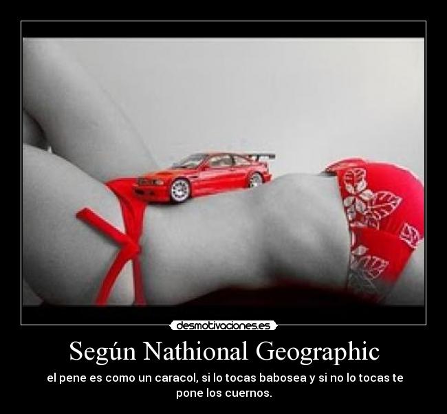 Según Nathional Geographic - 
