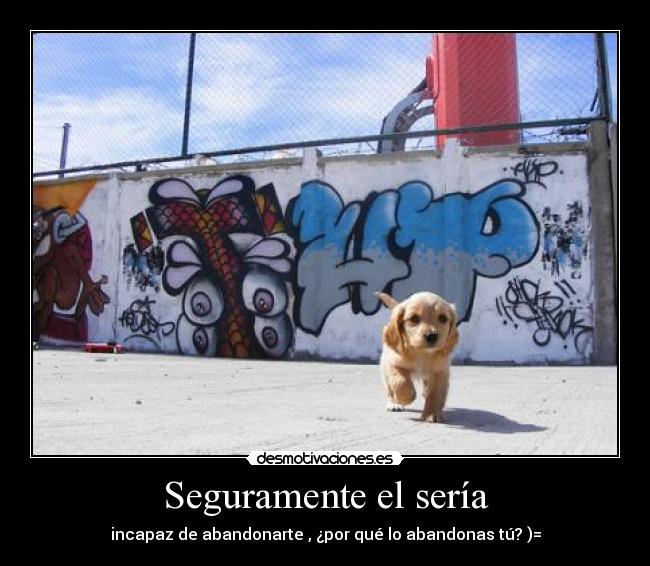 Seguramente el sería - 