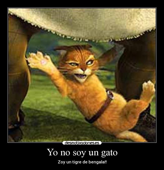 Yo no soy un gato - Zoy un tigre de bengala!!