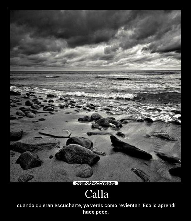 carteles seyf desmotivaciones