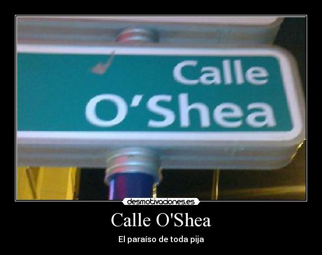 Calle OShea -