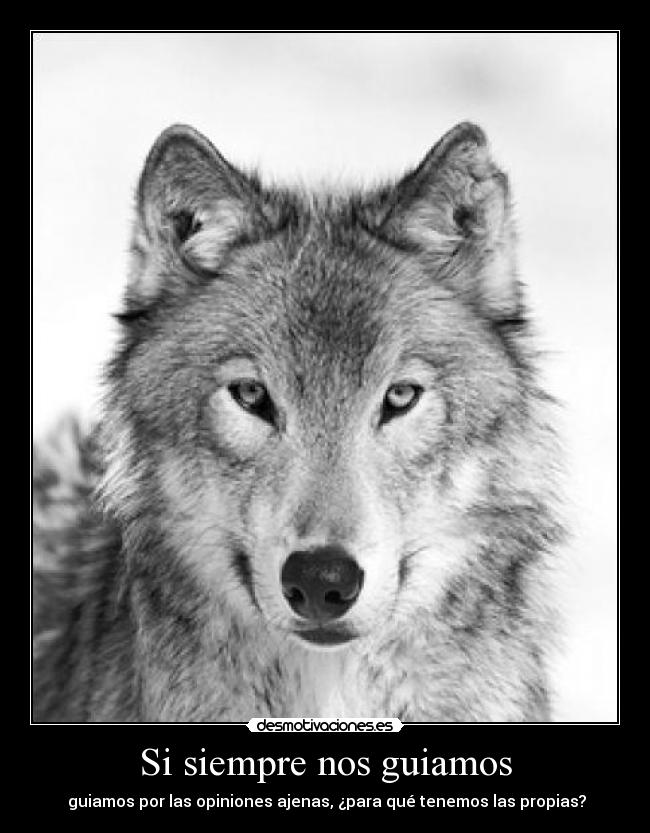 Si siempre nos guiamos - guiamos por las opiniones ajenas, ¿para qué tenemos las propias?