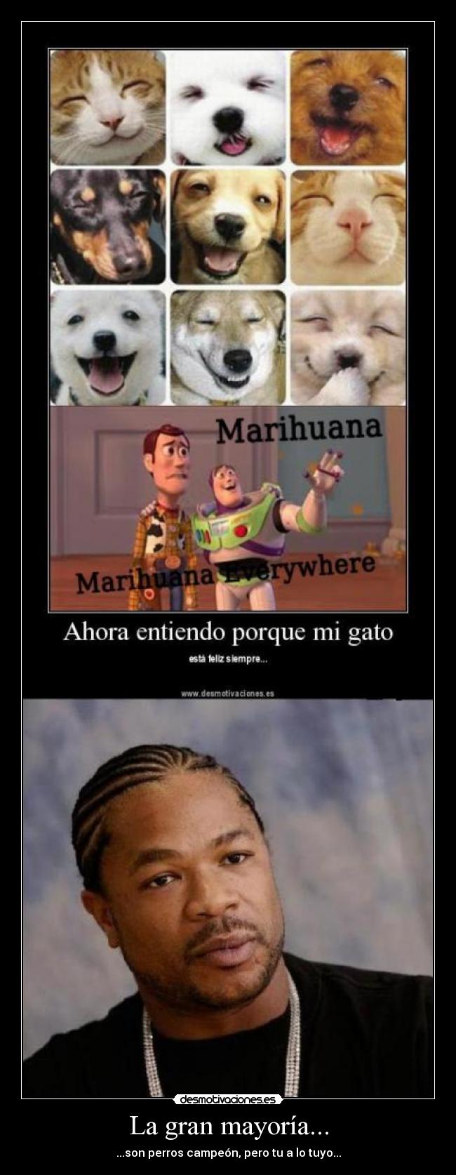 La gran mayoría... - ...son perros campeón, pero tu a lo tuyo...