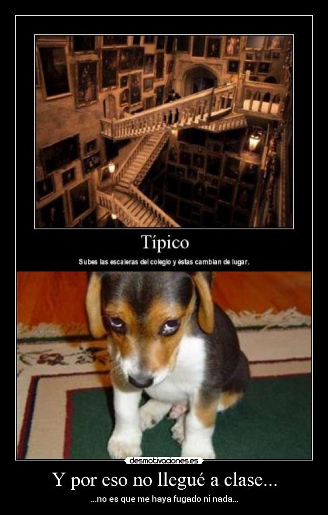 Y por eso no llegué a clase... -