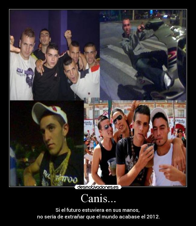 Canis... - 