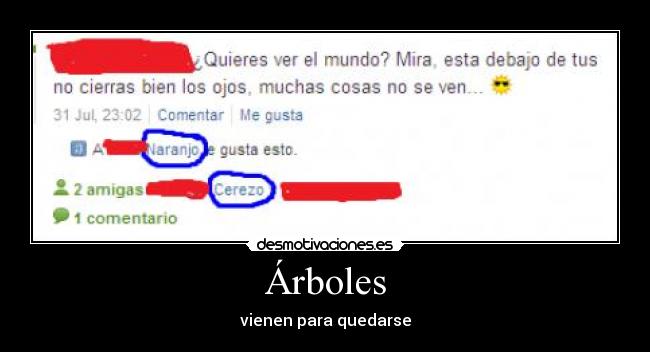 Árboles - 