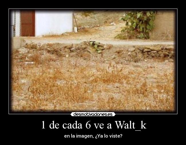 1 de cada 6 ve a Walt_k - 