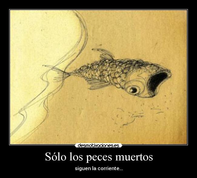 Sólo los peces muertos - siguen la corriente...