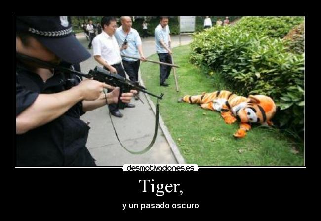 Tiger, - y un pasado oscuro