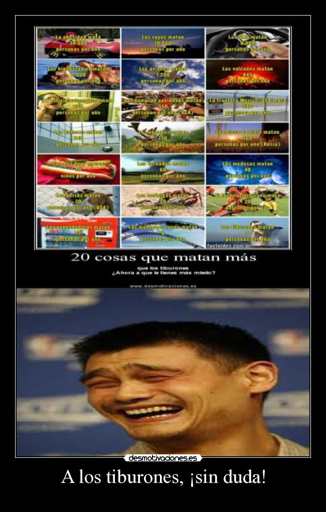 A los tiburones, ¡sin duda! -