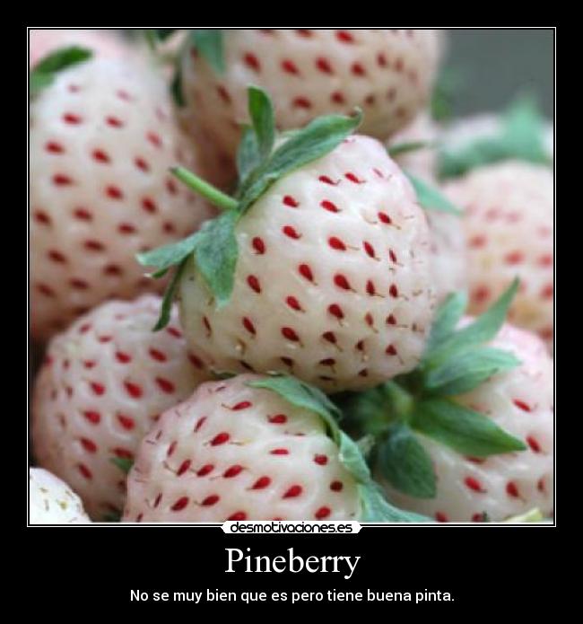 Pineberry - No se muy bien que es pero tiene buena pinta.