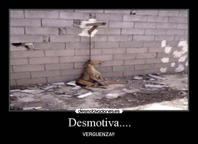 Desmotiva.... -