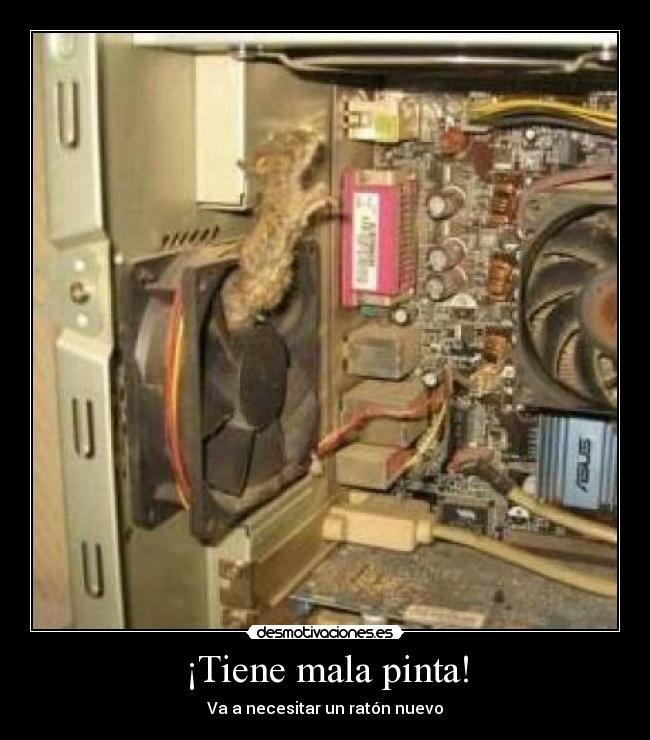 ¡Tiene mala pinta! -