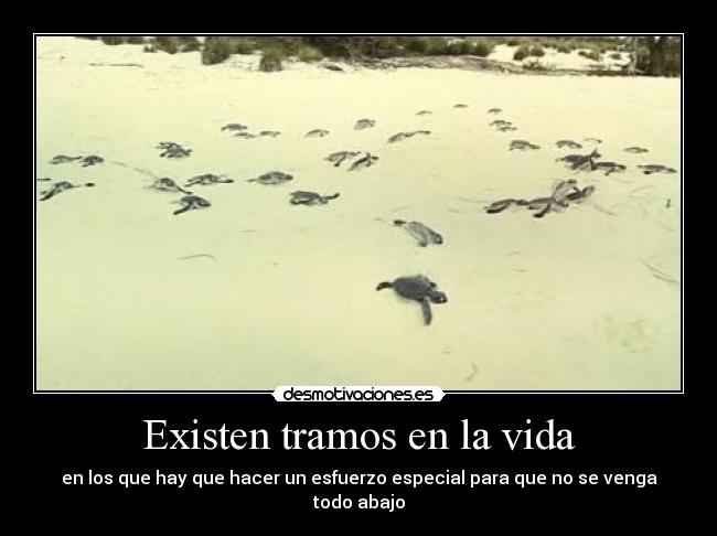 Existen tramos en la vida - en los que hay que hacer un esfuerzo especial para que no se venga todo abajo