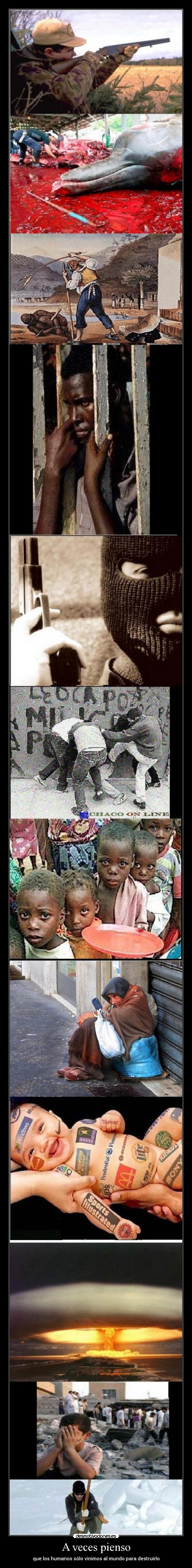 A veces pienso - que los humanos sólo vinimos al mundo para destruirlo