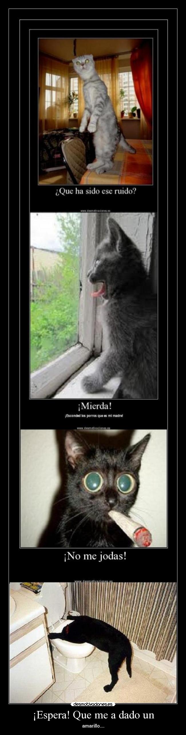 ¡Espera! Que me a dado un - 