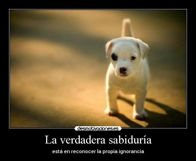 carteles ignorancia desmotivaciones