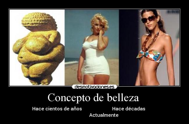 carteles gorda normal flaca belleza desmotivaciones