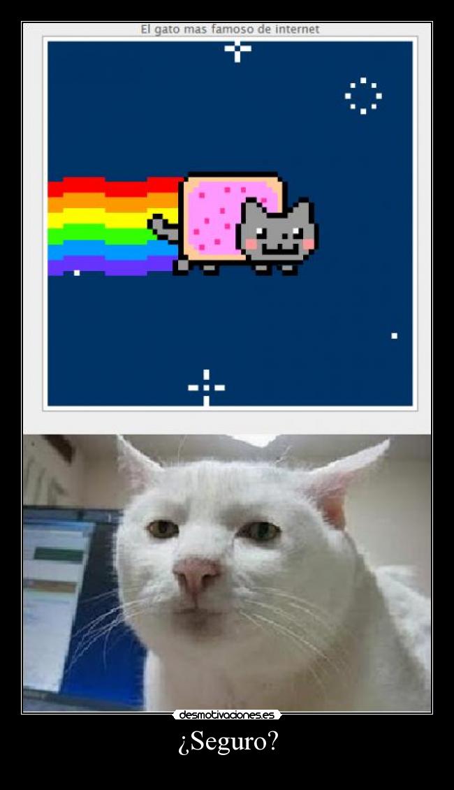 ¿Seguro? -