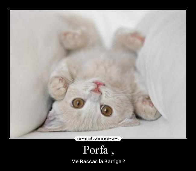 Porfa , - Me Rascas la Barriga ?