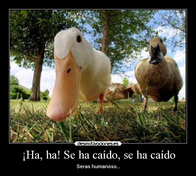 ¡Ha, ha! Se ha caído, se ha caído - Seras humanoso...