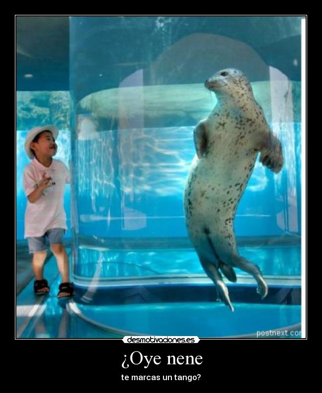 carteles perdoname desmotivaciones