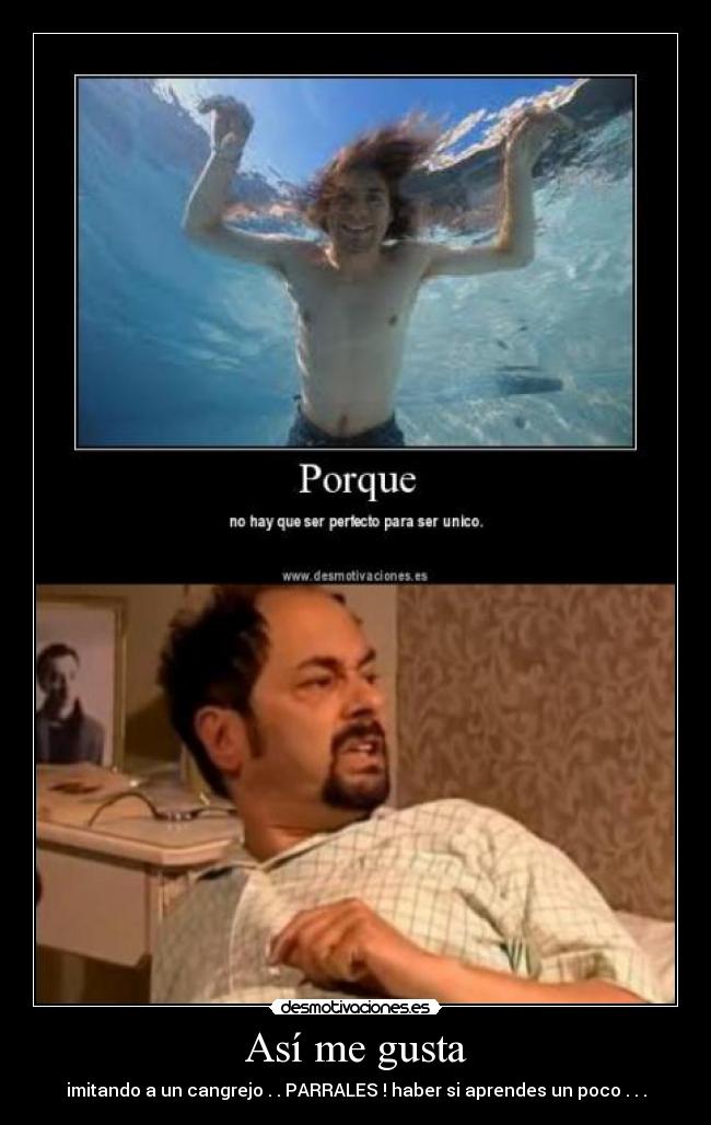 Así me gusta - imitando a un cangrejo . . PARRALES ! haber si aprendes un poco . . .