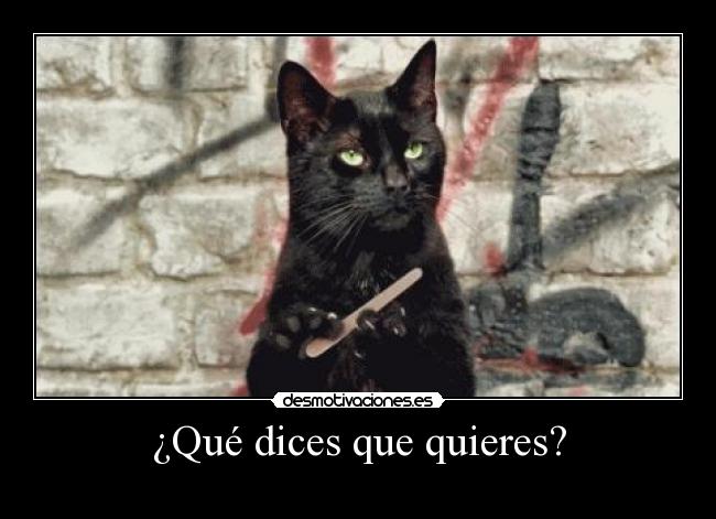 ¿Qué dices que quieres? - 