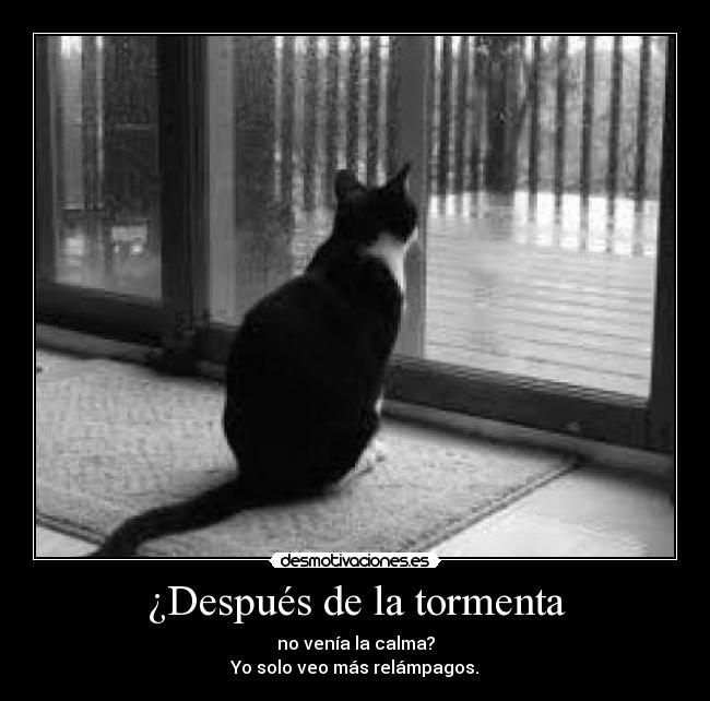 ¿Después de la tormenta - no venía la calma?
Yo solo veo más relámpagos.