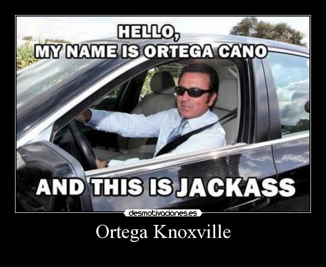 Ortega Knoxville - 