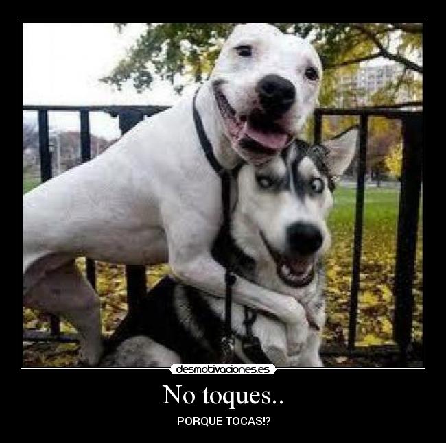 No toques.. - 