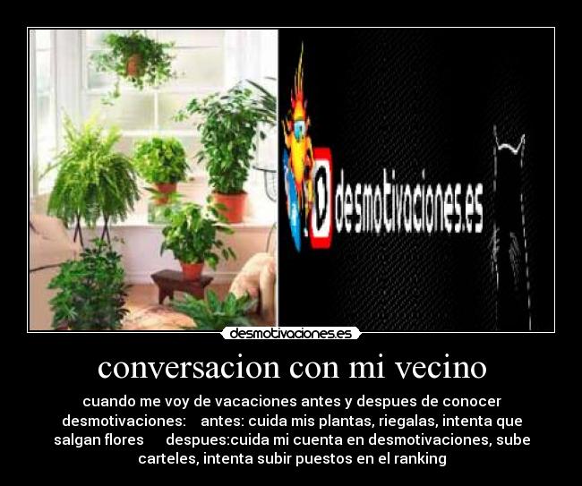 conversacion con mi vecino - cuando me voy de vacaciones antes y despues de conocer
desmotivaciones: antes: cuida mis plantas, riegalas, intenta que
salgan flores despues:cuida mi cuenta en desmotivaciones, sube
carteles, intenta subir puestos en el ranking