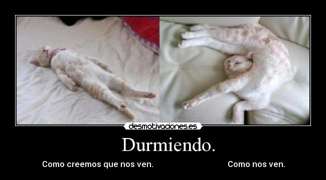 Durmiendo. -