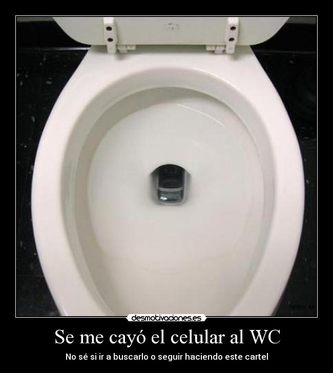 Se me cayó el celular al WC - 
