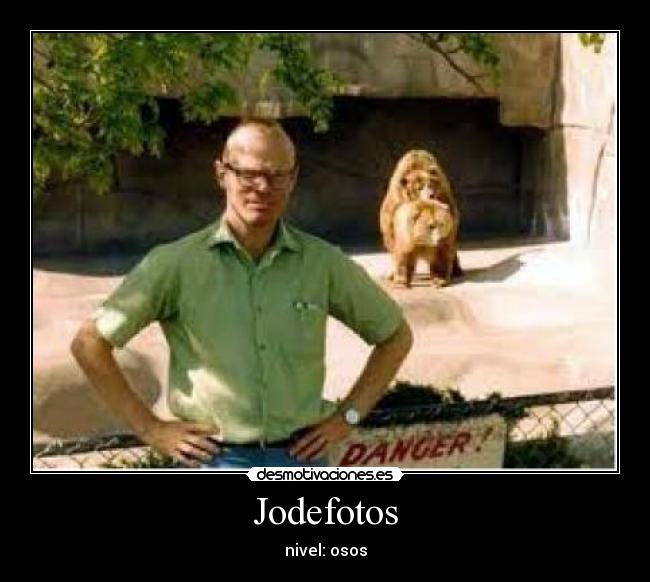 Jodefotos - nivel: osos