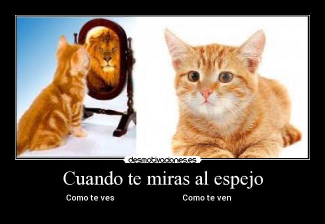 Cuando te miras al espejo -