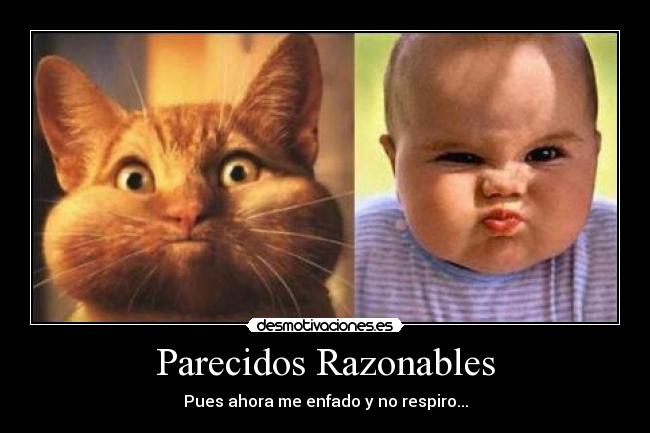 Parecidos Razonables - Pues ahora me enfado y no respiro...