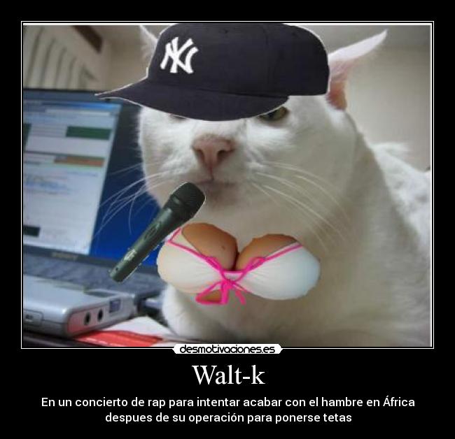 Walt-k - En un concierto de rap para intentar acabar con el hambre en África
despues de su operación para ponerse tetas