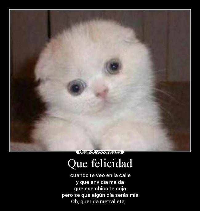 Que felicidad - 