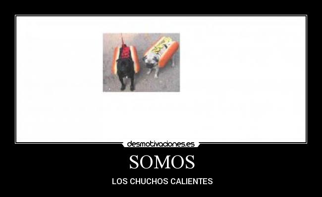 SOMOS - LOS CHUCHOS CALIENTES