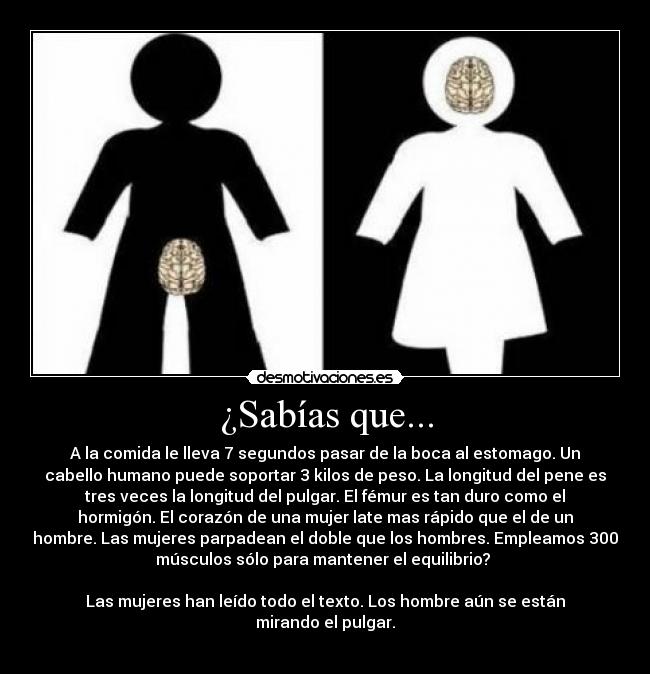 ¿Sabías que... - A la comida le lleva 7 segundos pasar de la boca al estomago. Un
cabello humano puede soportar 3 kilos de peso. La longitud del pene es
tres veces la longitud del pulgar. El fémur es tan duro como el
hormigón. El corazón de una mujer late mas rápido que el de un
hombre. Las mujeres parpadean el doble que los hombres. Empleamos 300
músculos sólo para mantener el equilibrio? 

Las mujeres han leído todo el texto. Los hombre aún se están
mirando el pulgar.
