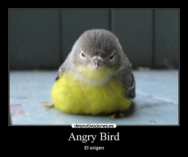 Angry Bird - El origen